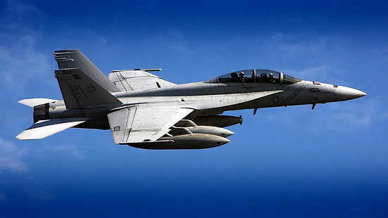 серый реактивный самолет, самолёт, McDonnell Douglas F / A-18 Hornet, HD обои HD wallpaper