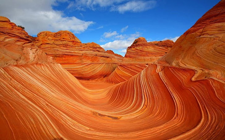 The Wave Coyote Buttes Arizona Utara & Selatan & Utah, Wallpaper HD