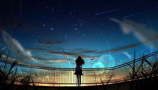  Anime, Girl, Sky, Stars, Sunset, HD wallpaper HD wallpaper