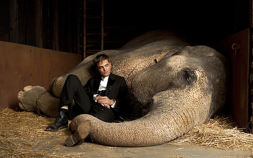 Robert Pattinson Close to Elephant, film d'acqua per elefanti, elefanti, crepuscolo, amicizia, umore, divertente, Sfondo HD HD wallpaper