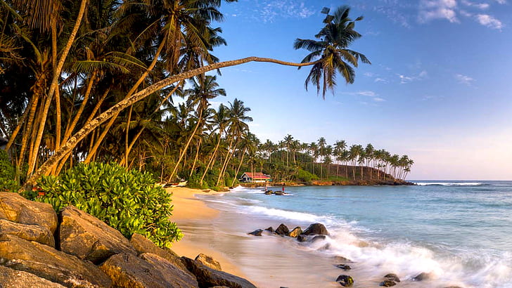Mirissa Beach Güney Sahili Güney Eyaleti Sri Lanka Palmiye Ağacı Sandy Beach Okyanus Dalgaları Duvar Kağıdı Hd 1920 × 1080, HD masaüstü duvar kağıdı