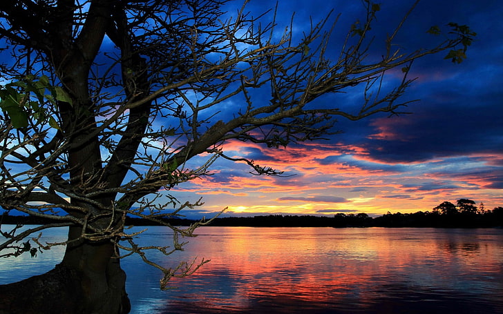 sunset, trees, lake, water, sky, HD wallpaper