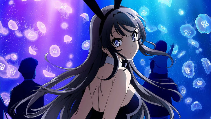 Anime, patife não sonha com Bunny Girl Senpai, Mai Sakurajima, HD papel de parede