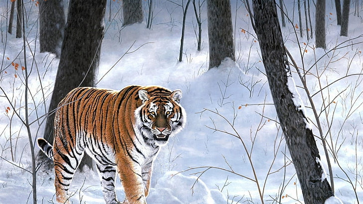 живая природа, тигр, живопись, живопись, большие кошки, зима, дерево, произведение искусства, снег, художественный, лес, сибирский тигр, тайга, HD обои