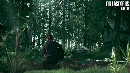 Video Game, The Last of Us Bagian II, Ellie (The Last of Us), Wallpaper HD HD wallpaper
