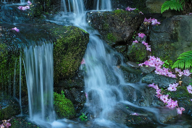 waterfalls with falling pink flowers, crystal springs, crystal springs, Crystal Springs, Petals, Waterfall, pink, flowers, stream, landscape, Gardens, nature, water, forest, river, freshness, beauty In Nature, outdoors, plant, HD wallpaper
