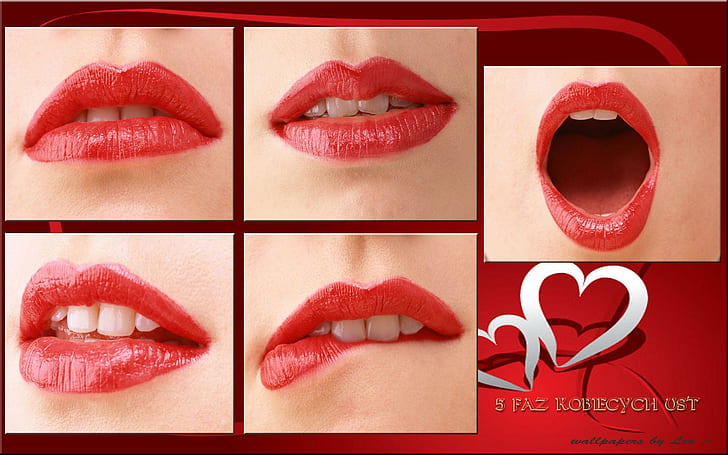 خمس مراحل فم المرأة ، أحمر شفاه نسائي أحمر ، قلب ، لون ، فم ، أسنان ، ثلاثي الأبعاد وتجريدي، خلفية HD