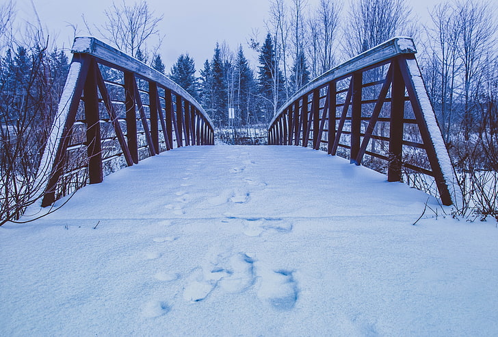 black metal bridge, bridge, snow, traces, winter, HD wallpaper