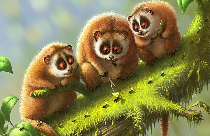 illustration av tre bruna tvättbjörnar som tittar på myror, lemur, lemurer, gren, djur, mossa, HD tapet