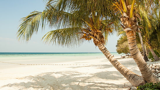 пляж, тропики, песчаный пляж, пальма, дерево, море, берег, небо, отпуск, лето, путешествие, песок, побережье, лето, побережье, HD обои HD wallpaper