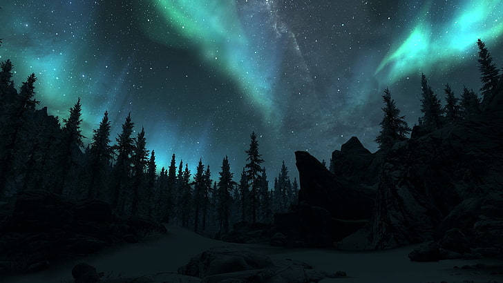 arbres, silhouette de pins avec des aurores boréales, The Elder Scrolls V: Skyrim, jeux vidéo, aurores, arbres, nuit, art fantastique, nuit polaire, Fond d'écran HD