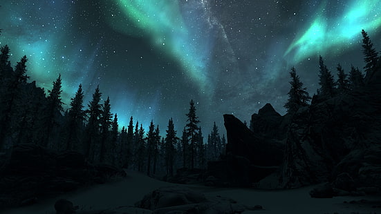 árboles, silueta de pinos con auroras boreales, The Elder Scrolls V: Skyrim, videojuegos, auroras, árboles, noche, arte de fantasía, noche polar, Fondo de pantalla HD HD wallpaper