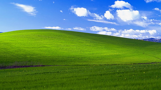 grama, felicidade, Windows XP, paisagem, Califórnia, HD papel de parede HD wallpaper