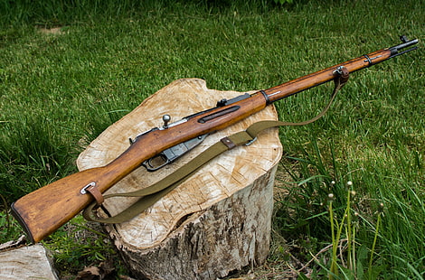 brown bolt-action rifle, weapons, stump, rifle, Mosin, HD wallpaper HD wallpaper
