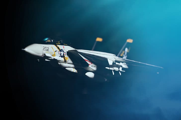 f-14, f14, F-14 Tomcat, Grumman F-14 Tomcat, HD-Hintergrundbild