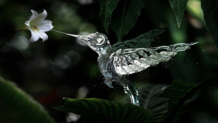 เทคโนโลยีศิลปะดิจิตอลนกสัตว์ดอกไม้, วอลล์เปเปอร์ HD