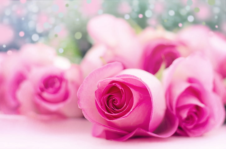 Bokeh rosa chiaro delle rose, rose rosa, sveglio, rose, rosa, luce, bokeh, Sfondo HD