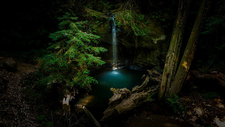 Körperwasser, Natur, Wasser, Bäume, HD-Hintergrundbild
