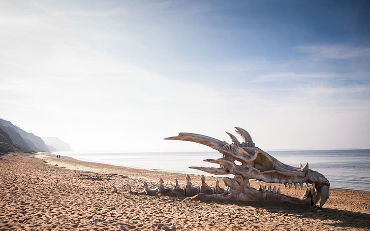 teschio drago sulla riva del mare sfondo digitale, drago, spiaggia, teschio, Sfondo HD