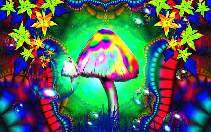 mushroom, colorful, psychedelic, LSD, HD wallpaper