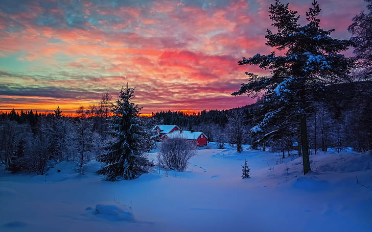 冬の夕方の日没、空、雲、雪、森、家、冬、夕方、日没、空、雲、雪、森、家、 HDデスクトップの壁紙