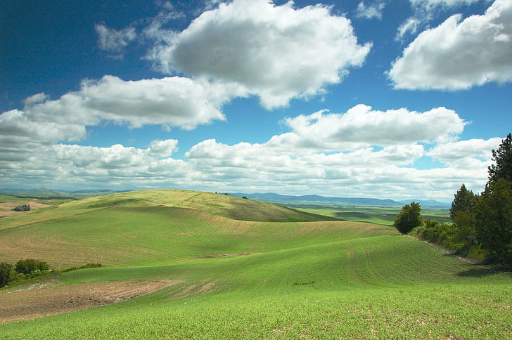 landscape photo of green field and trees, clouds, hills, landscape, photo, green field, trees, palouse, steptoe butte, rural, fields, nikon  d70s, nikkor, f/3.5, 6G, VR, WOW, w1, BRAVO, top, f25, nature, rural Scene, hill, summer, sky, agriculture, meadow, outdoors, field, scenics, cloud - Sky, land, farm, tuscany, green Color, grass, landscaped, italy, tree, blue, HD wallpaper