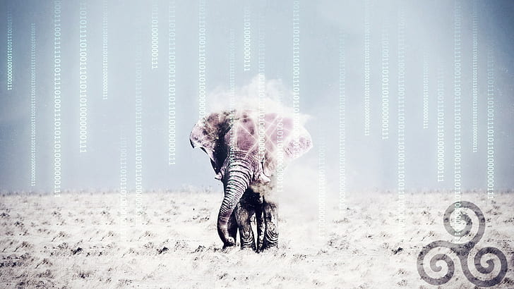 Desert, Elephants, The Matrix, Triskel, Wireframe, HD wallpaper