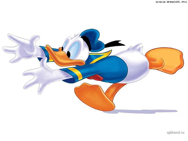 cartoons donald duck 1024x768  Animals Ducks HD Art , Cartoons, Donald Duck, HD wallpaper