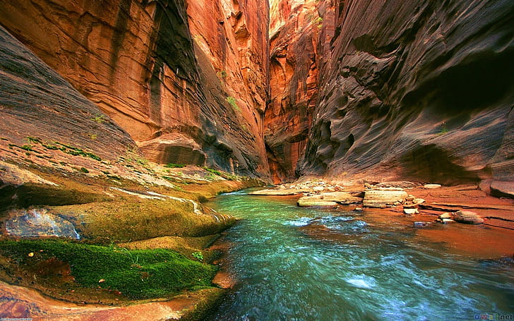 Colorado River Grand Canyon National Park Bakgrund Hd För Skrivbord 2560 × 1600, HD tapet