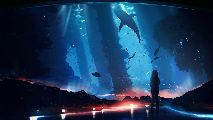 CG, art numérique, requin, gens, sous l'eau, Fond d'écran HD