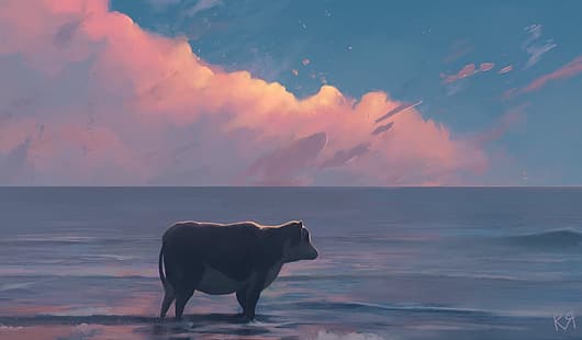  cow, sea, HD wallpaper HD wallpaper