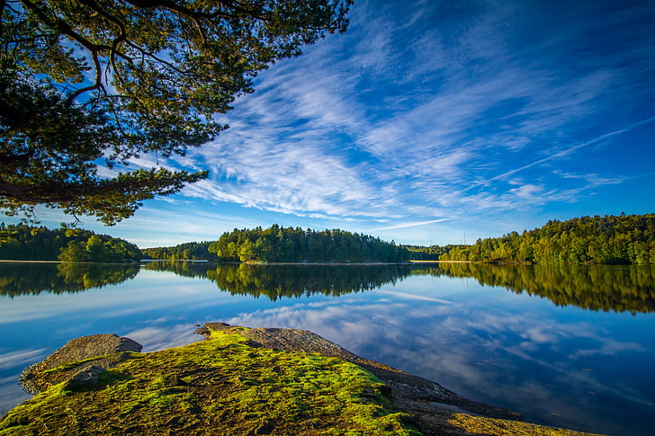 panorama photography of calm body of water surrounded by green leaf plant, DSC, panorama photography, calm, body of water, green leaf, plant, delsjön, göteborg, gothenburg, sweden, sverige, nature, lake, skog, landscape, forest, reflection, outdoors, tree, water, scenics, sky, summer, beauty In Nature, blue, autumn, tranquil Scene, mountain, travel, green Color, sunlight, woodland, HD wallpaper