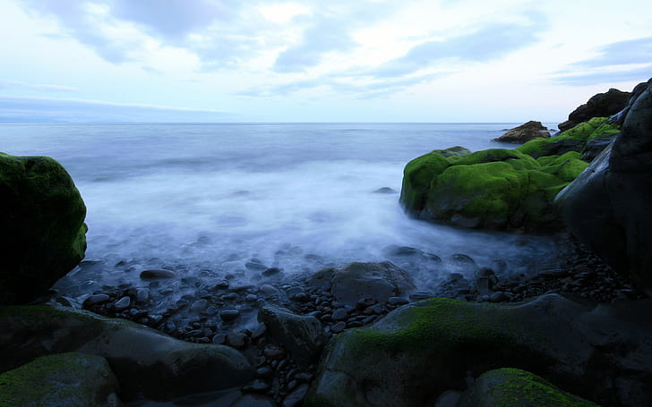 pantai, alam, laut, langit, lumut, batu, cakrawala, Wallpaper HD