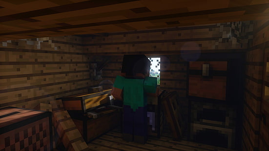Minecraft Steve, Minecraft, Videospiele, Steve, HD-Hintergrundbild HD wallpaper