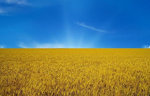 Ukraine, ukrainien, femmes ukrainiennes, modèle ukrainien, nature, bleu, jaune, champ, paysage, ville, église, Fond d'écran HD HD wallpaper