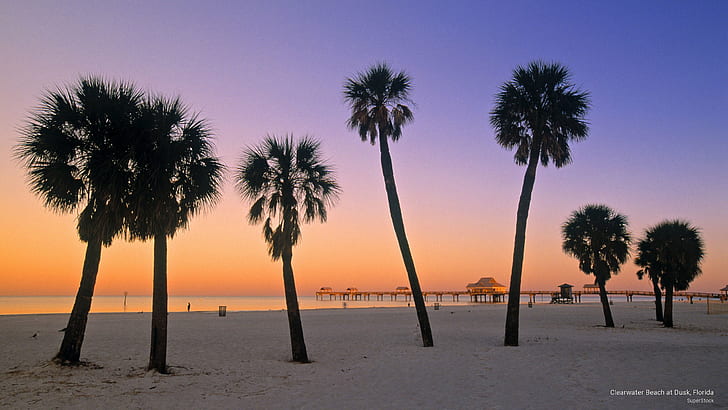 Клируотер Бич в сумерках, Флорида, пляжи, HD обои
