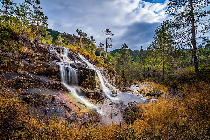 autumn, forest, trees, waterfall, Norway, cascade, Rogaland, Lund, HD wallpaper