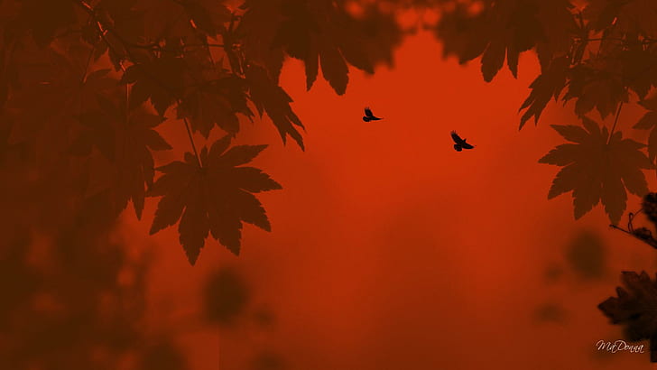 Autumns Peek, orange, birds, abstract, fall, tree, leaves, 3d and abstract, HD wallpaper