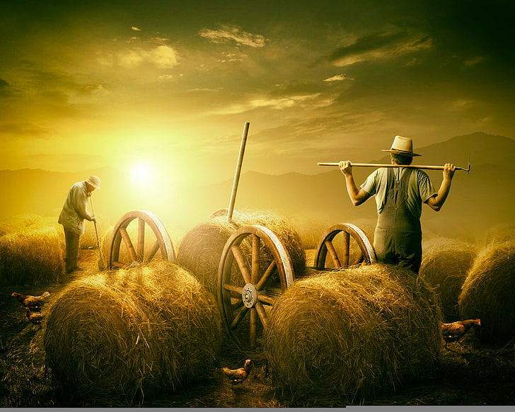 summer, heat, hay, farmer, Strada, HD wallpaper