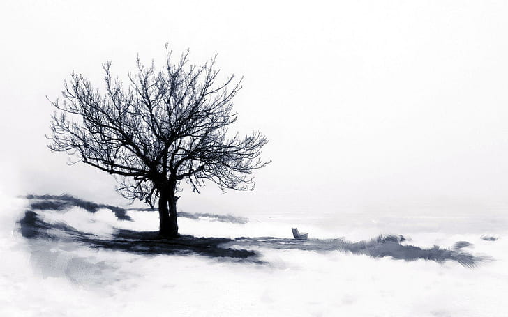 Monochrome tree, leafless tree surrounded of snow, artistic, 1920x1200, tree, bench, drawing, HD wallpaper