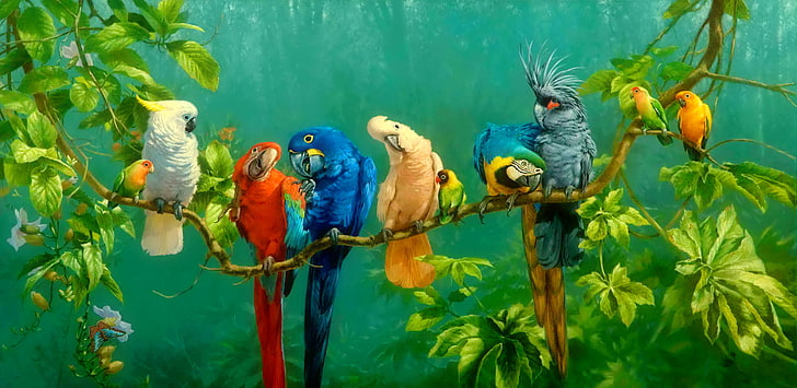 Colorful, macaw, parrot, bird, fauna, ecosystem, beak, common pet parakeet,  HD wallpaper | Wallpaperbetter