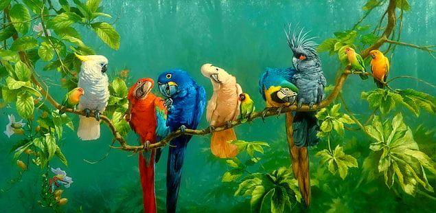 Birds, Parrot, Artistic, Bird, Branch, Cockatoo, Colorful, Colors, Forest, Jungle, Leaf, Macaw, Tree, Tropical, HD wallpaper HD wallpaper