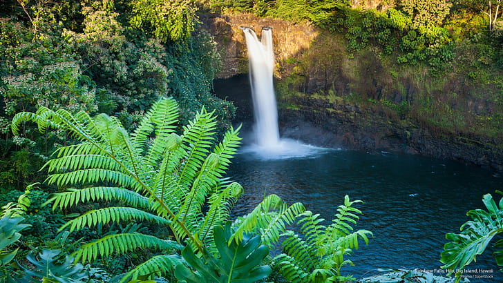 Rainbow Falls, Hilo, Big Island, Hawaii, Waterfalls, HD wallpaper