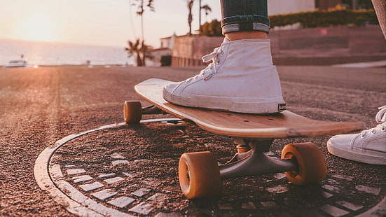  road, sea, dom, palm trees, heat, sneakers, skate, skateboard, HD wallpaper HD wallpaper
