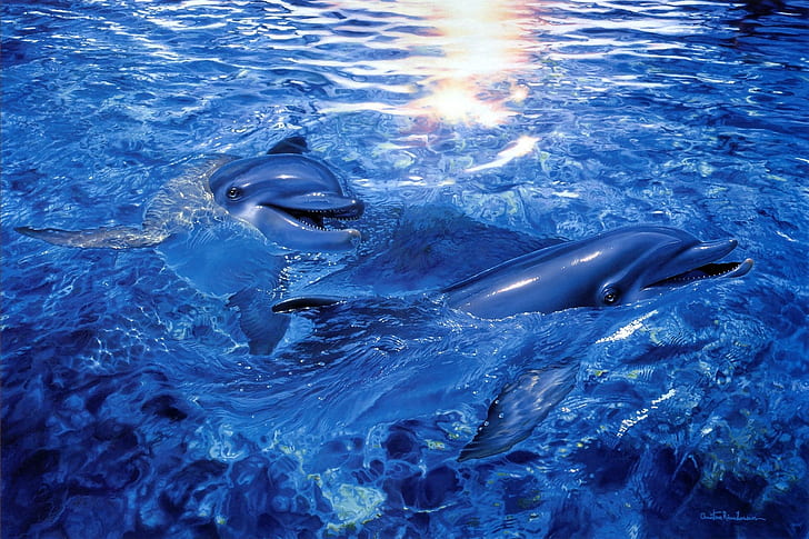 cristiano, delfín, delfines, Lassen, Ocea, Riese, mar, bajo el agua, Fondo de pantalla HD
