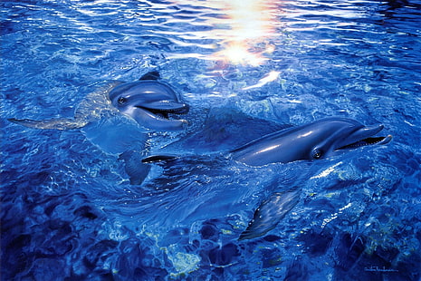 kristna, delfiner, delfiner, Lassen, Ocea, Riese, havet, under vattnet, HD tapet HD wallpaper