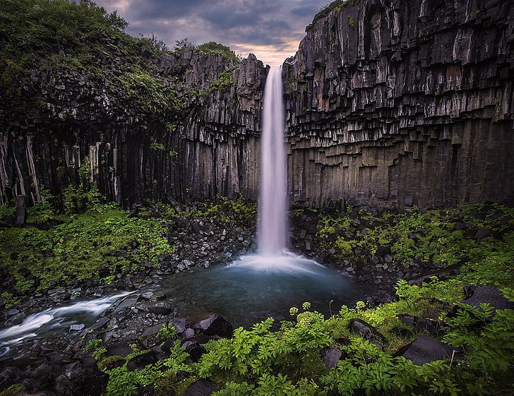 waterfall, Iceland, column, shrubs, nature, landscape, HD wallpaper