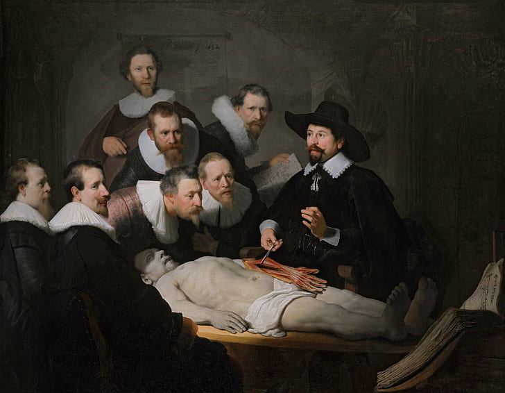 Anatomy, Oil Painting, Rembrandt van Rijn, HD wallpaper