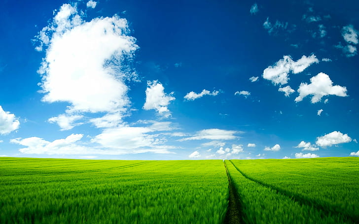 landskap foto av ett grönt fält under molnig himmel, natur, landsbygdsscen, sommar, jordbruk, fält, blå, himmel, utomhus, äng, landskap, moln - himmel, mark, gård, gräs, icke-stadsbild, scenics, grön färg , vår, molnlandskap, bakgrunder, horisont över land, säsong, horisont, växt, gröda, HD tapet