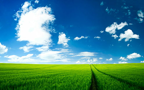 landskap foto av ett grönt fält under molnig himmel, natur, landsbygdsscen, sommar, jordbruk, fält, blå, himmel, utomhus, äng, landskap, moln - himmel, mark, gård, gräs, icke-stadsbild, scenics, grön färg , vår, molnlandskap, bakgrunder, horisont över land, säsong, horisont, växt, gröda, HD tapet HD wallpaper